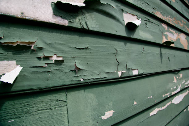 Best Property Management Cleanouts  in Helena Valley Northwest, MT